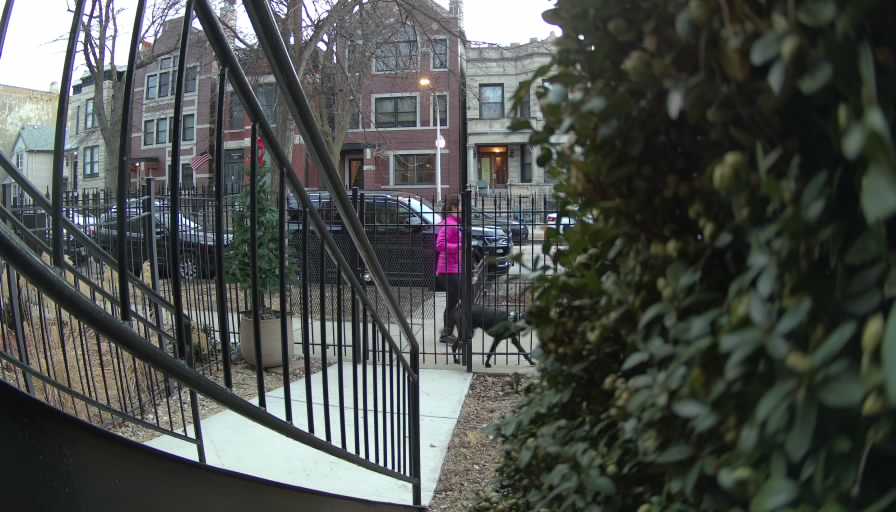 Reolink Camera Two_01_Reolink Home Hub One_20250228064325.jpg